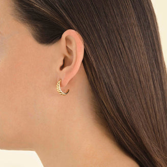 Croissant Creolen JECHS-J796,leftcolumn